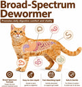 Cat Dewormer Liquid Broad Spectrum Treatment for Tapeworms, Roundworms & Hookworms with Praziquantel & Pyrantel Pamoate, 120ml