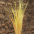 Fake Desert Dry Grass Reptile Plants Bearded Dragon Terrarium Décor
