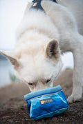 Ruffwear, Quencher Collapsible Dog Bowl
