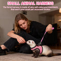 2pcs Animal Harness and Leash, Ferret Harness No Pull Soft Mesh Red Pink,S