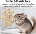Rotating Chinchilla Chew Toys for Teeth, Kiln-Dried Wood Enrichment