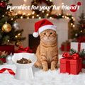 Detachable Elevated Cat Bowls, 15° Tilted Raised Cat Food Bowl Anti-Vomiting, Whisker Friendly, Adjustable Pet cat Dishe