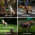 Bells for Dog Collar, Glow Bell for Medium to Large Dogs, Easy Clip Clasp, Extra Loud Pet Tracker & Save Wildlife, Durab