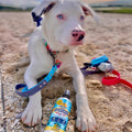 Bodhi Dog Sunscreen Moisturizing Pet Sun Spray - Safe for Dogs, Cats & Horses - Natural Protection for Skin, Coat, Nose, Ears - Hydrating & Non-Toxic - Made in USA (8 Fl Oz)