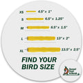 Sweet Feet and Beak Comfort Grip Safety Bird Perch, Large Pedicure Perch