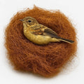 Premium Coconut Fiber for Bird Nests - Canary Nesting Material Coconut Bird Nest Finch Coconut Fiber Loose Bedding Substrate for Laying Eggs,Resting Materials, Hummingbird Parakeet 40g/1.4 oz