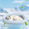 NESAYVER Cat Cooling Mat, Summer Cooling Pet Bed Mat for Cats or Small Dogs Puppy, 23.6"x19.7" Calming Anxiety Relief Small Dog Bed with 3D Sensory Dot,Soft & Comfortable Pet Pad with Anti-Slip Bottom