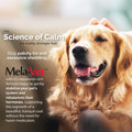 Mela-Vet Melatonin Calming Soft Chews for Dogs, Vet-Formulated to Provide Relaxation & Anxiety Relief, Helps Reduce Stress & Tension-Supports Healthier Skin & Coat.120 Tasty Soft Chews.