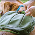 Kurgo Cascade Harness, Hiking Backpack for Dogs, Pet Harness with Backpack for Camping with a Dog (Green, Large)