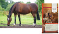 UltraCruz® Equine Pure Psyllium, 10 lb