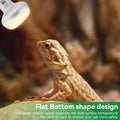 LUCKY HERP Intense Heat Lamp Bulbs for Reptiles 100W 2 Pack, UVA Daylight Reptile Heat Lamp, Reptile Basking Heat Light 