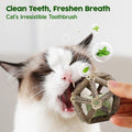 Potaroma Catnip Toys, 3Pcs Cat Toys Natural Silvervine Stick Cage Balls & Bell Ball for Indoor Cats, Kitten Cleaning Teeth Molar Matatabi Cat Chew Toy All Breeds