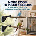 2 PCS Parrot Perch Stand, Movable Perch Stand Bird Training Set, Wood Parrot Perch Stand with Strong Suction Cup for Coc