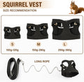 3Pcs Rat Harness and Leash, Small Animal Training Walking Vest Leash Adjustable Traction Rope Strap for Squirrel Gerbil 
