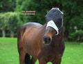 T TEKE Fine Mesh Horse Fly Mask w/No Ears, UV Blocking 3D Eye Visor with Extra Fleece Cushioned Forehead, Protection fro