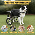 All-Terrain Dog Wheelchair for Back Legs - Lightweight & Adjustable for Medium to Large Dogs - Easy to Assemble Mobility