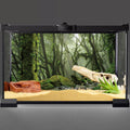 36x20 in Terrarium Backdrop Foggy Forest Stream Reptile Habitat Background