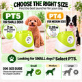 PT5 Automatic Dog Ball Launcher for Small Dogs, 6 × 2-Inch Mini Tennis Balls, Rechargeable Fetch Machine with 3 Launch D