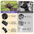 Crazy Felix No Pull Dog Collar, Hidden Martingale Training Collar