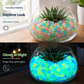 200PCS Glowing Decorative Rocks,Glow in The Dark Stones for Fish Tank