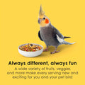 Kaytee Fiesta Cockatiel Food, Nutritious and Fun Blend, Supports Skin, Feather, Digestion, Brain and Heart Health, 4.5 pounds