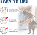 Hitpest Flea and Tick Collar for Cat, 12 Months Protection, Upgraded Version, Soft and Comfortable, Prevents Fleas and Ticks, Includes Tweezers and Flea Comb, 2-Pack