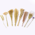 BUCATSTATE 60PCS Natural Hamster Bedding