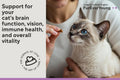 Supplement Treats for Senior Cats ~ Vision & Brain Longevity | Premium Feline Supplement | Functional Mushroom Complex + Taurine | Vet-Formulated with DHA, Arachidonic Acid & L-Arginine