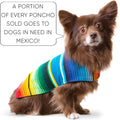 Dog Clothes - Handmade Dog Poncho from Authentic Mexican Blanket by Baja Ponchos (Blue, Small)