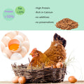 FCI GRUBS Dried Mealworms 5LB-High Protein Chicken Feed,More Protein,No Additives,Premium Organic Non-GMO,Rich in Protein Meal Worms for Chickens,Wild Birds,Laying Hens,Turkeys-Nutrient-Rich Mealworms