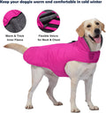 Petglad Waterproof Dog Winter Coat, Warm Fleece Dog Jacket with Leash Hole