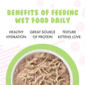 Weruva Kitten, Fur Baby Favorites Variety Pack, 3oz Can (Pack of 12)