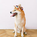 Crazy Night Mini Sombrero Top Hat Headband Tiny Straw Hat Small Sombreros for Dog Cat,Mexican Fiesta Birthday Party Supplies Table Decoration