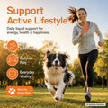Dog Longevity Support Supplement with NMN, NAD+, CoQ10 & Resveratrol, Daily Liquid Supplement for Dogs, Nanoliposomal Dr