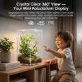 Acrylic Jumping Spider Enclosure: Arboreal Tarantula Enclosure