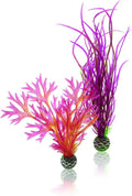 Medium/Red/Pink