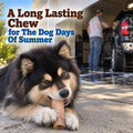 Beef Trachea For Dogs, Trachea Dog Chews, Natural Dog Chews 6 inch 20 pack