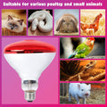 LUCKY HERP Infrared Heat Lamp for Chickens - 250 Watts Red Heat Lamp Bulb 1 Pack, Heat Light Bulb for Brooder Coop, Food