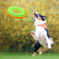 3 Pcs Pet Flying Discs - 9.05 Inch, Interactive Flyer Toys, Feedable Lightweight Catch and Fetch Toys for Small Medium L