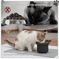 2 Pack Elevated Slow Feeder Cat Bowls Anti Vomit Tilted Raised Cat Bowls