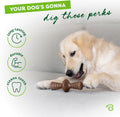 Benebone Zaggler Rolling Dog Chew Toy for Aggressive Chewers, Real Bacon, Made in USA, Medium