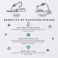 CatGuru Food Table for Cat Bowls, Elevated Feeding Station for Cat Food Bowl, Raised Stand for Pet Food and Water Bowls, Pet Feeder for Indoor Cats, Stress Free Stand for Pet Dishes (Marshnallow)