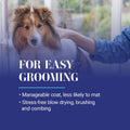 Chris Christensen Ice on Ice Detangling Dog Conditioner, Groom Like a Professional, Dematts, Moisturizes, Creates Long Lasting Silkiness, All Coat Types, Made in USA, 16oz