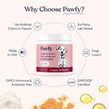 Pawfy Cranberry D-Mannose Dog Supplement - Urinary Tract & Bladder