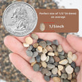 5LB Natural River Rocks, 1/4" Aquarium Gravel, Small Pebbles for Plants, Pea Gravel for Fish Tanks, Decorative Rocks for
