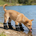 Andiker 4 Pcs Dog Shoes, Soft Breathable Dog Boots with Adjustable Drawstring Non-Slip Sole Easy to Clean Dog Paw Protec