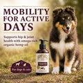 Hemp Well Thrive Oil for Dogs and Cats – Supports Hip, Joint, and Heart Health, Promotes Immune System, and Promotes Healthy Skin from Seasonal Allergies, Organically Sourced - 8 Ounces