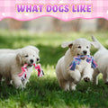 Paterr 12 Pcs Rope Dog Toys Multi Color Puppy Rope Toy Cotton Puppy Toys Dog Chew Puppy Teething Toys for Small and Medium Dogs Puppies