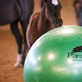 Parelli Green 42" - 44" Durable Inflatable Bright Bouncing Ball | Equine Training & Play Tool - Pony & Horse Toy for Cur