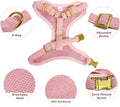 Cute Small Dog Harness Collar and Leash Set with Detachable Bowtie, Adjustable Dog Harness Collar and Leash Set with Sec
